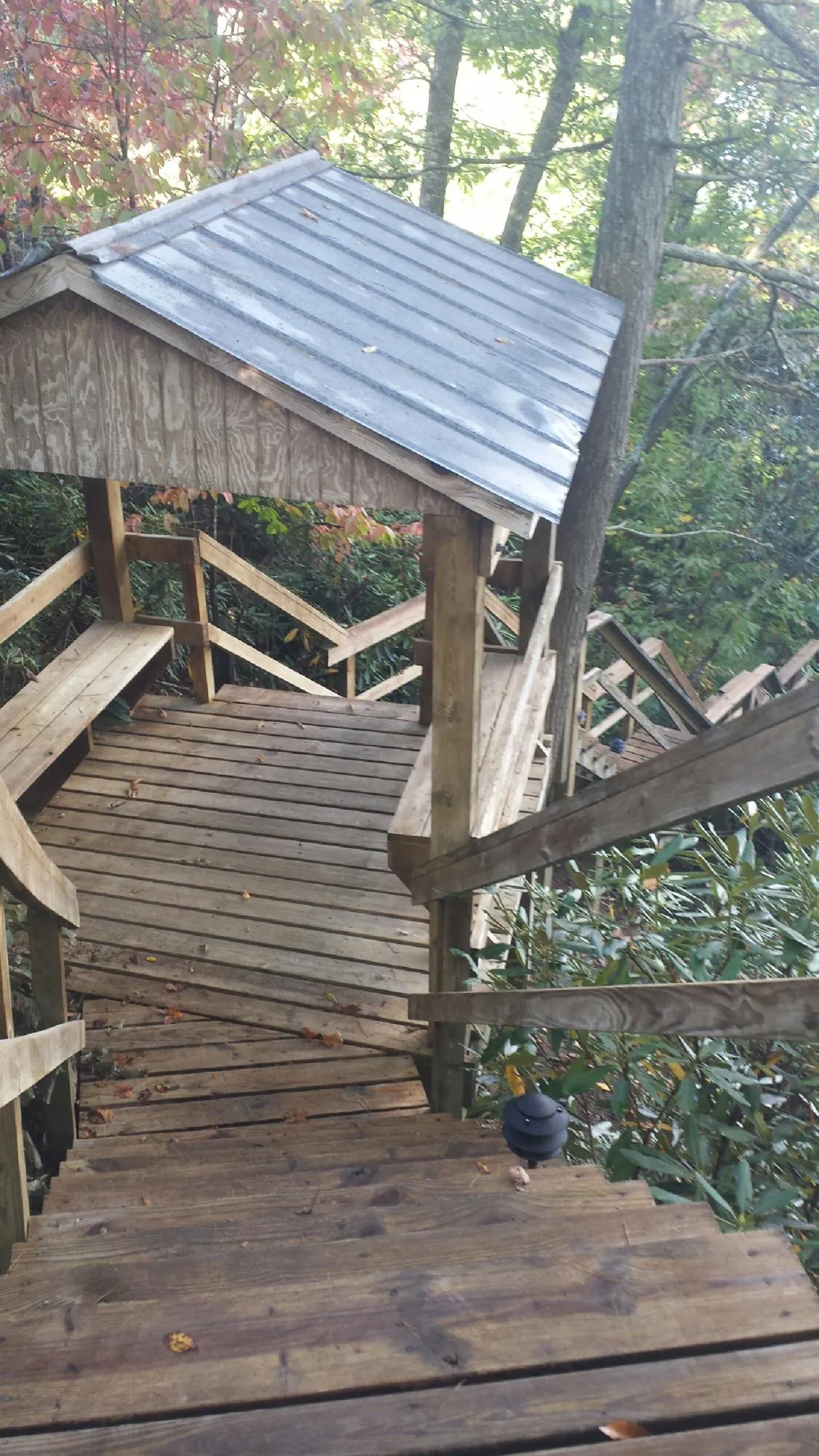 Metal roofed shelter over wooden steps on a wooded walkway — Skylight Repair & Installation work by our crew in Lorane